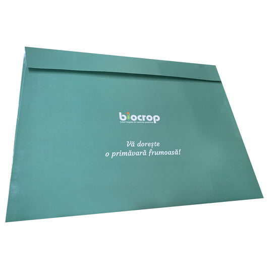 Plicuri personalizate